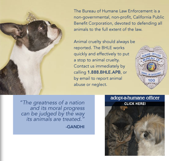 The Bureau of Humane Law Enforcement is a non-governmental, non-profit, California Public Benefit Corporation, devoted to defending all animals to the full extent of the law. We train our Humane Officers and investigators in effective enforcement of California Animal Laws. The BHLE also assists local humane societies and state agencies. We provide legal assistance and expertise to state and local prosecutors in bringing animal abusers to justice, and provide literature and seminars to educate the public regarding animal law.